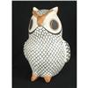 Image 1 : Acoma Owl
