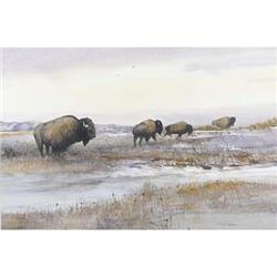 Tom Sander, Watercolor