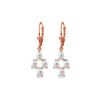 Genuine 3.9 ctw Aquamarine Earrings 14KT Rose Gold - REF-51H8X