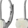 Genuine 0.70 ctw Opal Earrings 14KT White Gold - REF-24W3Y