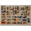 Image 1 : Lot of Red Rose / Blue Ribbon Tea Cards "Tropical Birds" & "Birds of North America"