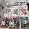 Image 13 : Hockey Card Binder Full of Stars and Rookies 450 Total Cards