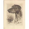 Image 1 : R H Palenske print of a Black Labrador Retriever.