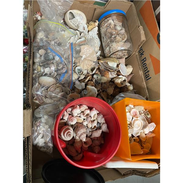 Lot of shells