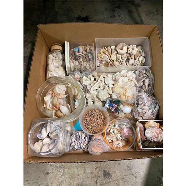 Lot of shells