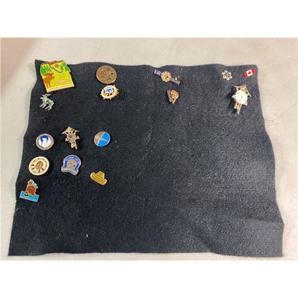 Assorted pins