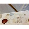 Image 1 : Sand dollars and shells