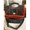 Image 1 : Igloo cooler bag