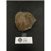 Image 3 : Lot of 3 Dark Fossils