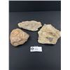 Image 1 : Lot of 3 Light Fossils