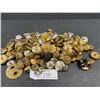 Image 1 : Large Lot of Military Buttons