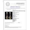Image 3 : 14K Gold 5.14ct Opal & 1.08ctw Diamond Earrings