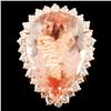 Image 1 : 14K Gold 20.37ct Morganite & 1.21ctw Diamond Ring