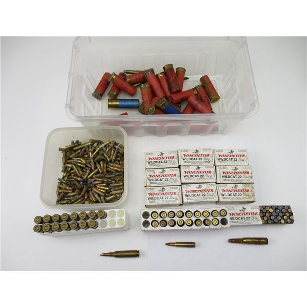 ASSORTED AMMO LOT