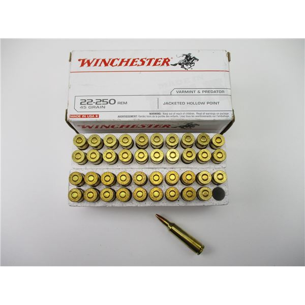WINCHESTER 22-250 REM AMMO