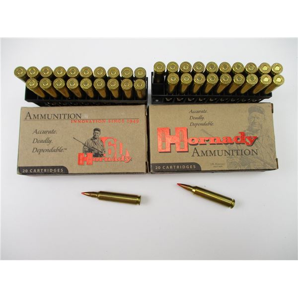 HORNADY .204 RUGER AMMO LOT