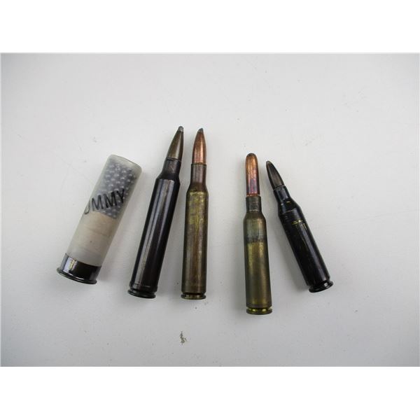 ASSORTED DUMMY ROUNDS LOT