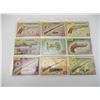 Image 8 : MILITARY BOOKS/1950'S ERA FIREARM COLLECTABLE CARDS
