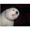 Image 1 : Bear made in Canada with tag #2277262