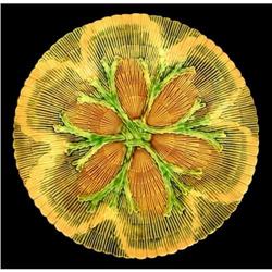 Etruscan Majolica Sea Weed Plate #2299221