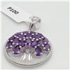 Image 1 : EC129-150 SILVER AFRICAN AMETHYST(2.8CT) PENDANT