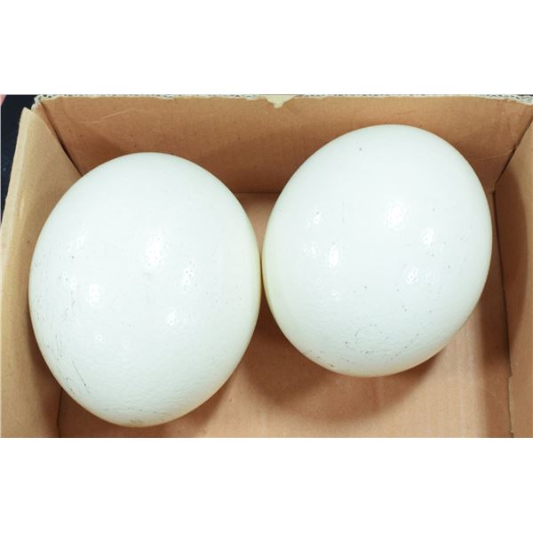 PAIR OF OSTRICH EGG SHELL DECOR PIECES