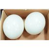 Image 1 : PAIR OF OSTRICH EGG SHELL DECOR PIECES