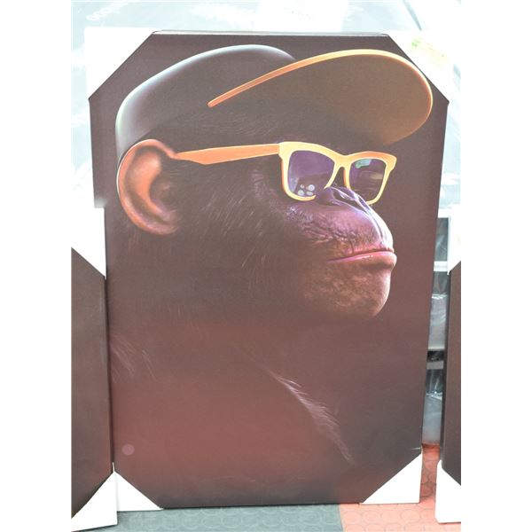 MONKEY W/ HAT + SUNGLASSES CANVAS ART PICTURE