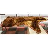 Image 2 : ANTIQUE BEAR RUG APPROX 7 FT