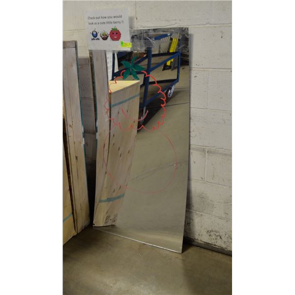 SPECIAL EFFECTS MIRROR 49" X 24" ERASEABLE/BENDA