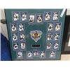 Image 2 : MB Moose Framed Picture of 5 Years 96-01 - 26" x 26" , Belived Framed Hockey Cards or Photos, & 1996