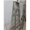 Image 2 : Alum Ext Ladder & Alum Step Ladder