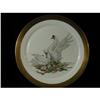 Image 1 : "Bird of Peace" limited edition bird plate by #2297278