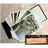 Image 1 : BERKSHIRES Mass POSTcards 42 Images ANTIQUE #2297701