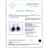 Image 4 : 14.80 ctw Blue Sapphire and 0.46 ctw Diamond 14K White Gold Earrings