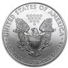 Image 2 : 2010 1 oz American Eagle Silver Coin