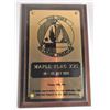 Image 1 : Maple Flag XXI Plaque 1988