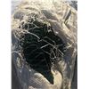 Image 2 : Geotextile and Tomato Cages