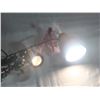 Image 2 : Two small lamps, tested and they work