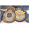 Image 2 : Canadian Armed Forces Lot