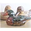 Image 2 : FOUR Ducks