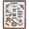 Image 1 : Framed Canadian Armed Forces Badges