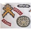 Image 2 : Framed Canadian Armed Forces Badges