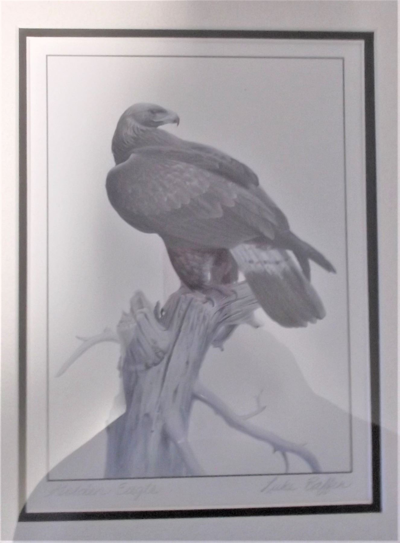 Three Prints by Luke Raffin - Framed in one Frame