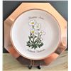 Image 1 : Copper NWT Plate