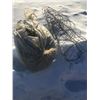 Image 1 : Geotextile and Tomato Cages