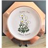 Image 1 : Copper NWT Plate