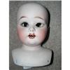 Image 1 : Fulper Made in U.S.A. bisque shoulderhead #2262553