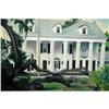 Image 1 : Ink Painting  Southern Mansion & Downed Tree #2263485