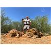 Image 10 : WIETS SAFARIS SOUTH AFRICAN 7 DAY HUNT 2 HUNTERS & 2 ANIMALS INCLUDED